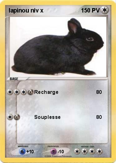 Pokemon lapinou niv x