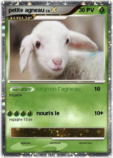 Pokemon petite agneau