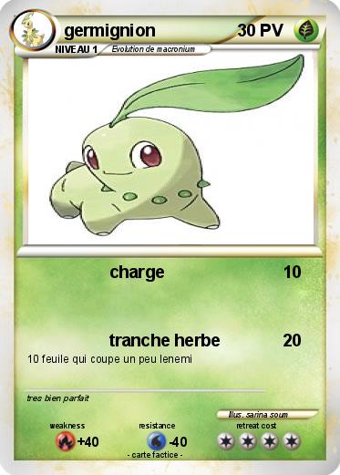 Pokemon germignion