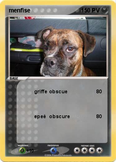 Pokemon menfise