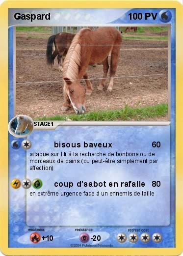 Pokemon Gaspard
