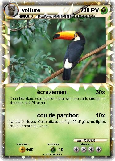 Pokemon voiture