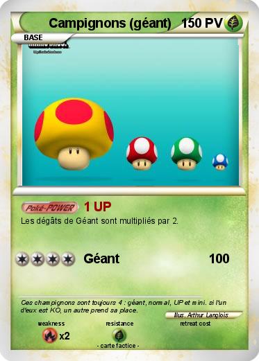 Pokemon Campignons (géant)