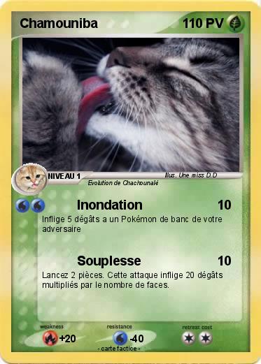 Pokemon Chamouniba