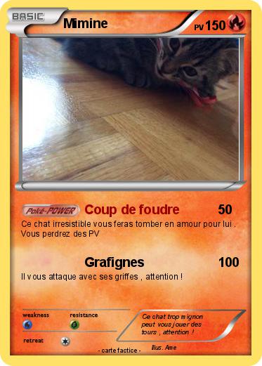 Pokemon Mimine