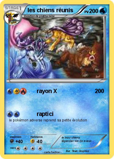 Pokemon les chiens réunis