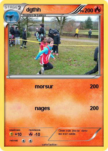 Pokemon dgthh