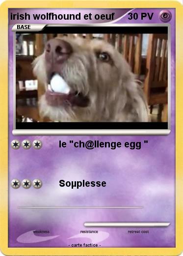 Pokemon irish wolfhound et oeuf
