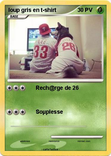 Pokemon loup gris en t-shirt