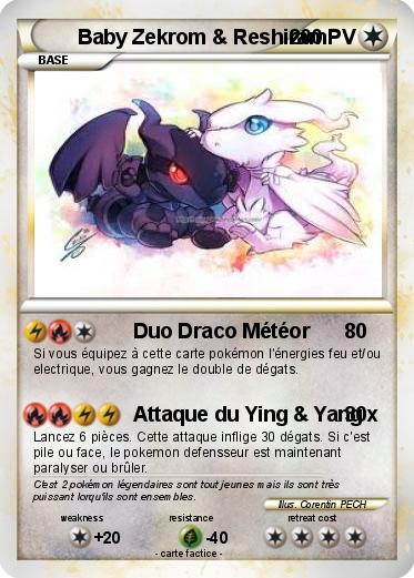 Pokemon Baby Zekrom & Reshiram