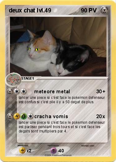 Pokemon deux chat lvl.49
