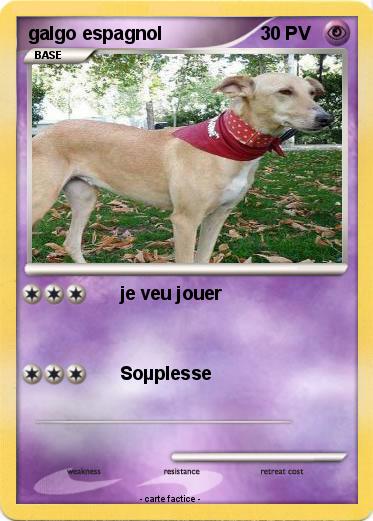 Pokemon galgo espagnol