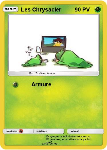 Pokemon Les Chrysacier