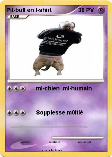Pokemon Pit-bull en t-shirt