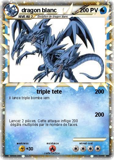 Pokemon dragon blanc