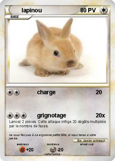 Pokemon lapinou