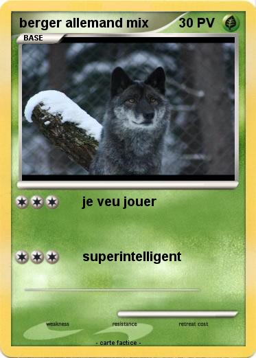 Pokemon berger allemand mix