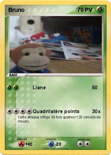 Pokemon Bruno