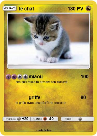Pokemon le chat