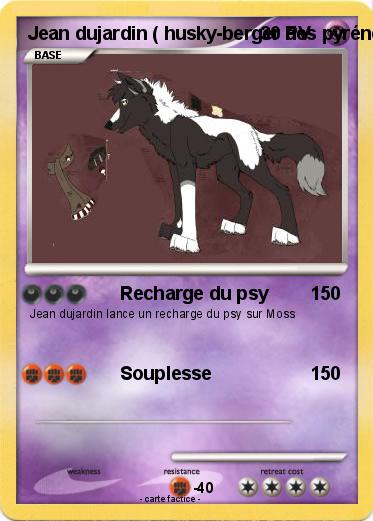 Pokemon Jean dujardin ( husky-berger des pyrénées )