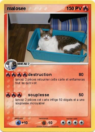 Pokemon malosee