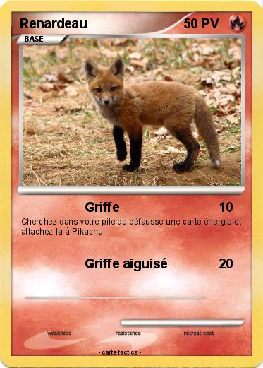 Pokemon Renardeau