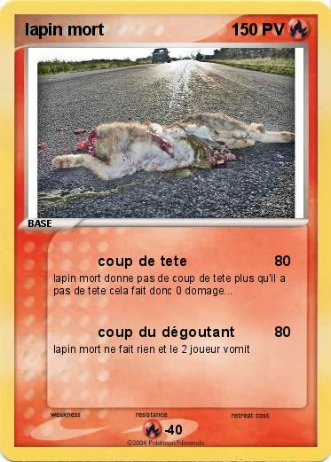 Pokemon lapin mort