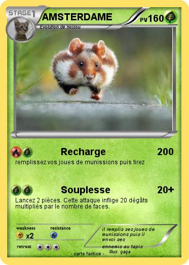 Pokemon AMSTERDAME