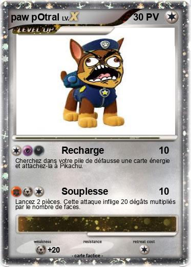 Pokemon paw pOtral