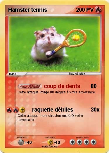 Pokemon Hamster tennis