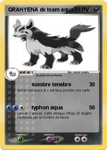 Pokemon GRAHYENA de team aqua