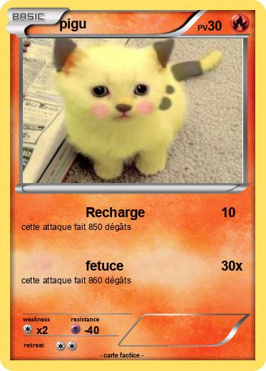 Pokemon pigu
