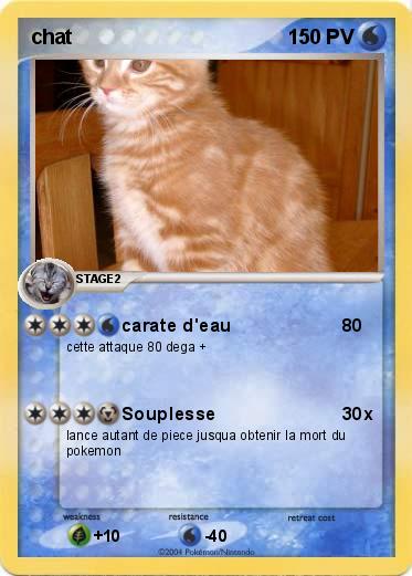 Pokemon chat