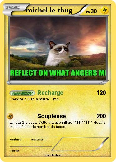 Pokemon michel le thug