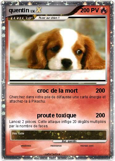 Pokemon quentin