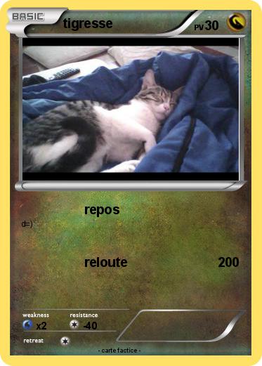 Pokemon tigresse