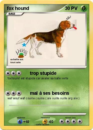 Pokemon fox hound