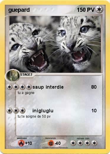 Pokemon guepard