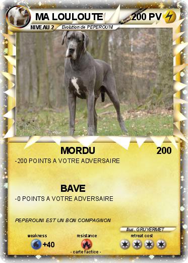 Pokemon MA LOULOUTE