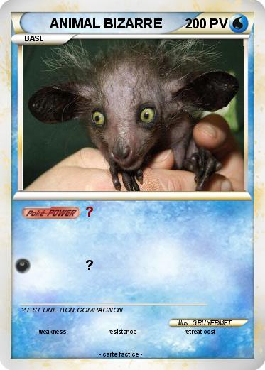 Pokemon ANIMAL BIZARRE