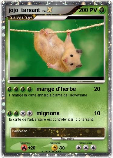 Pokemon jojo  tarsant
