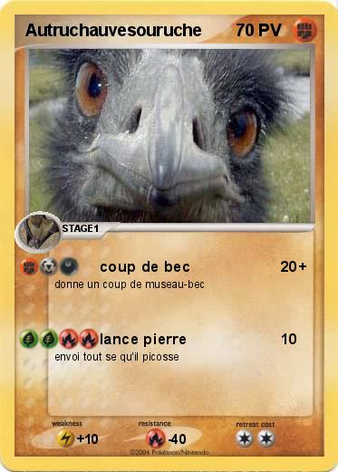 Pokemon Autruchauvesouruche