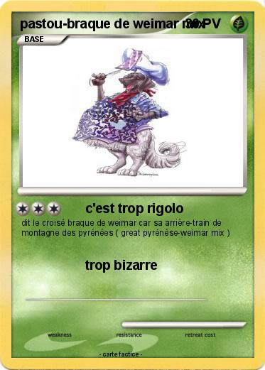 Pokemon pastou-braque de weimar mix
