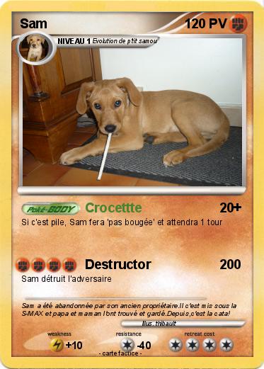 Pokemon Sam