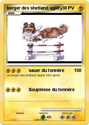 Pokemon berger des shetland agility