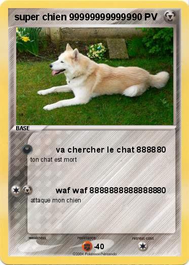 Pokemon super chien 999999999999