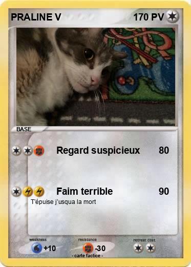 Pokemon PRALINE V