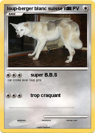 Pokemon loup-berger blanc suisse mix