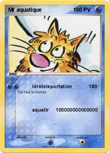 Pokemon Mr aquatique                     1