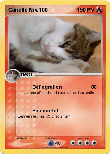 Pokemon Canelle Niv.100